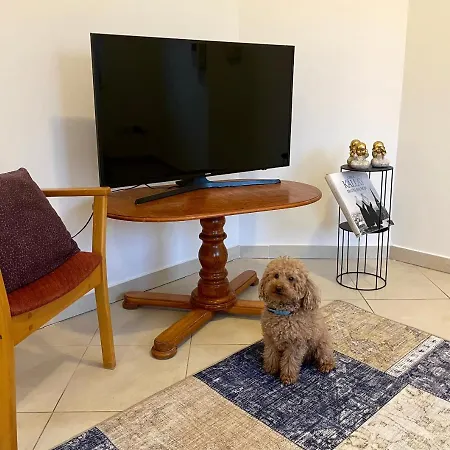 Booklovers Close To Center アパート ブラチスラヴァ